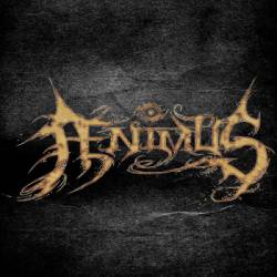 Aenimus (USA) : Aenimus